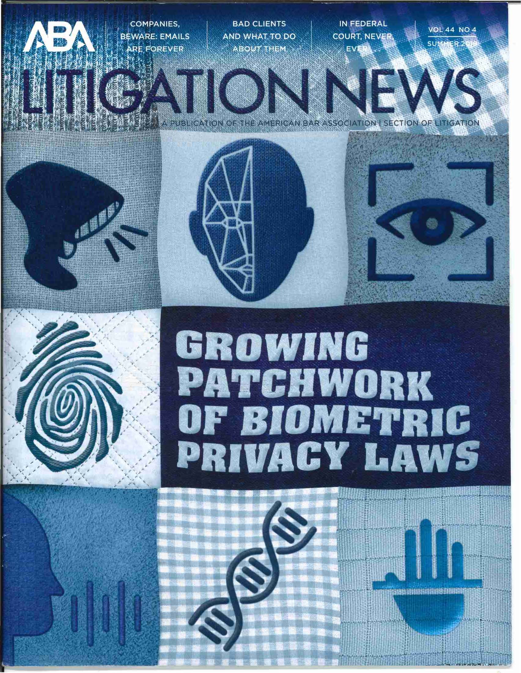 article-published-in-aba-litigation-news-summer-2019-mccranie